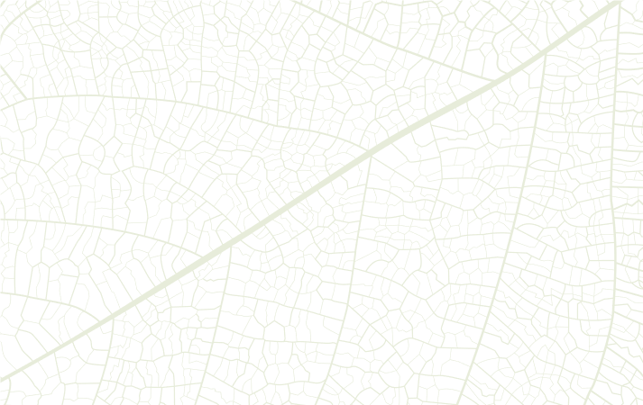 Green leaf veins on a black background.