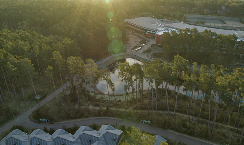 Drone shot of a forest with a lake and buildings.