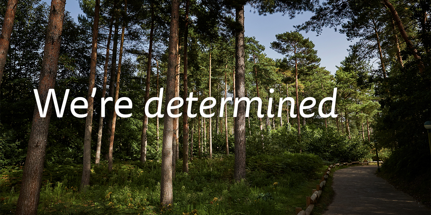Forest scene with text "We're determined."