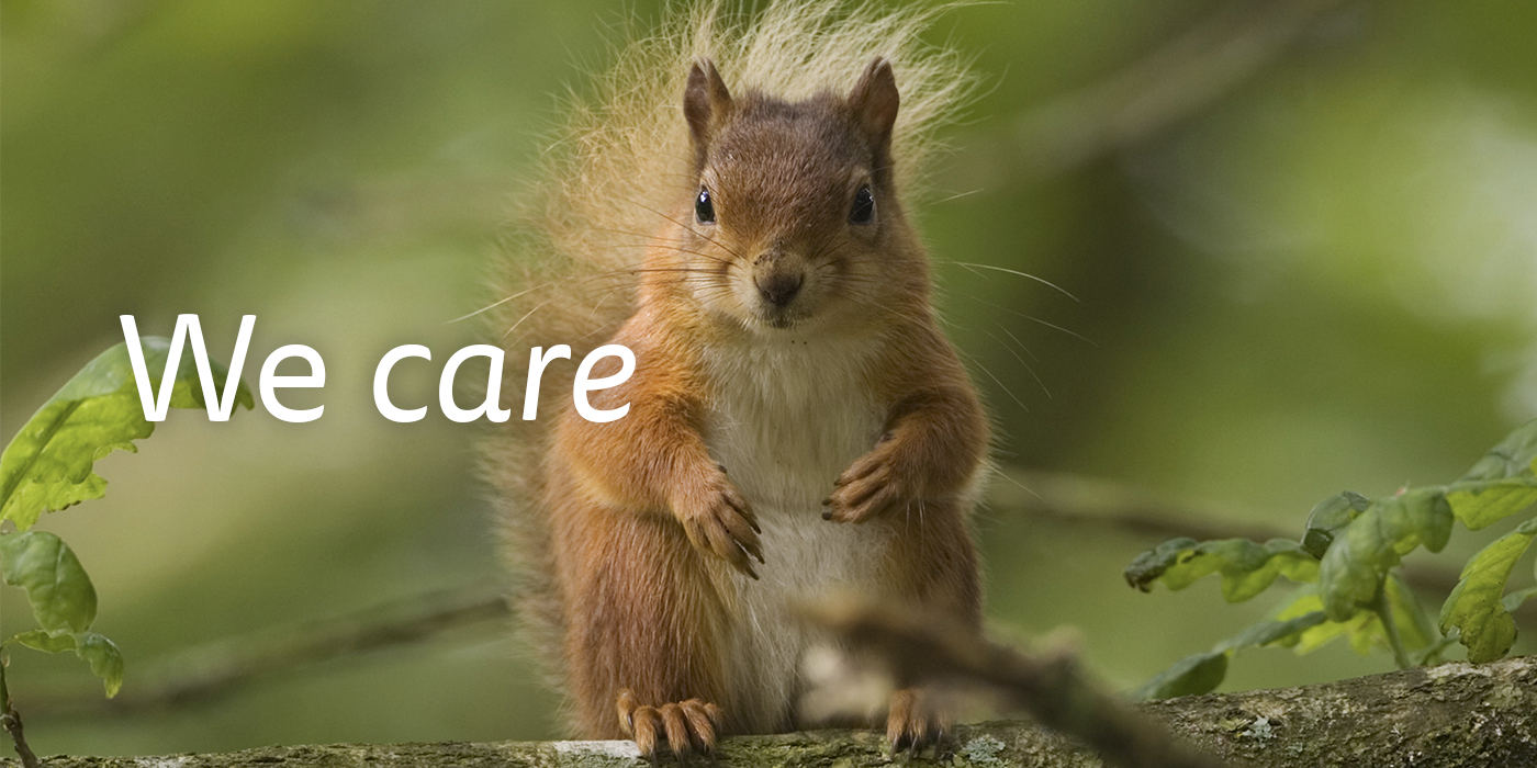 Squirrel in a tree branch, green background, text "We care".