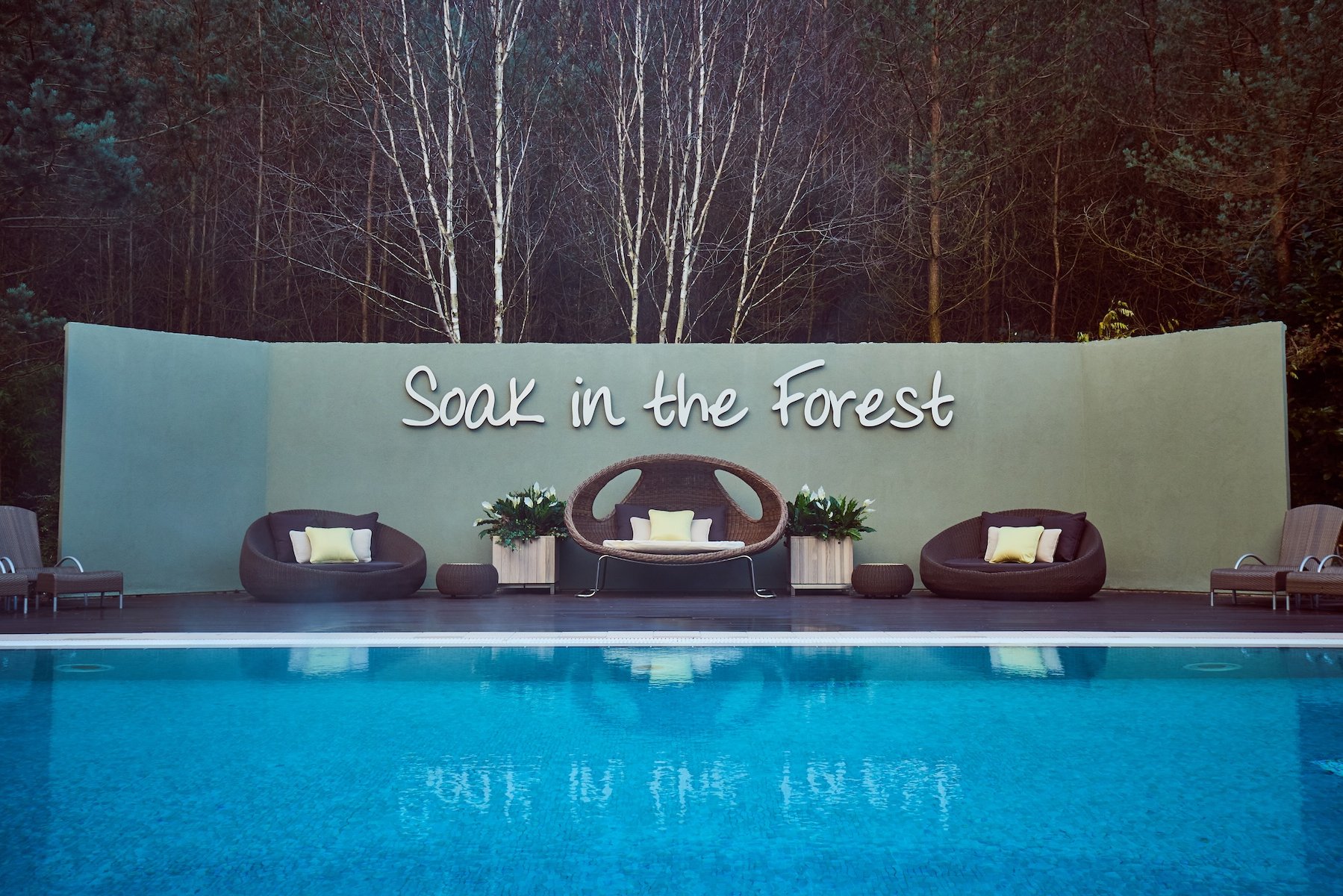 Pool with furniture, "Soak in the Forest" sign, and forest backdrop.