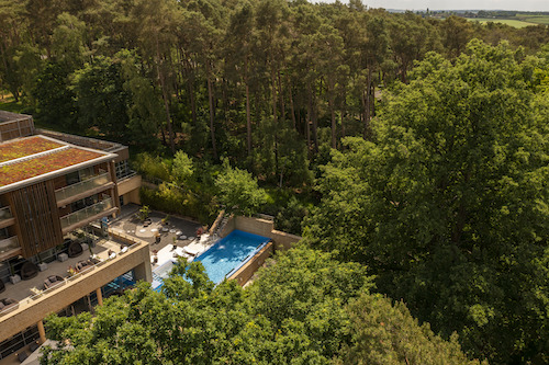 Hotel with a swimming pool surrounded by trees.